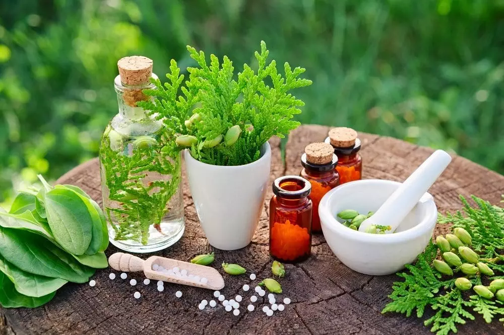 Benefits of Herbal Medicine - Wakunaga of America