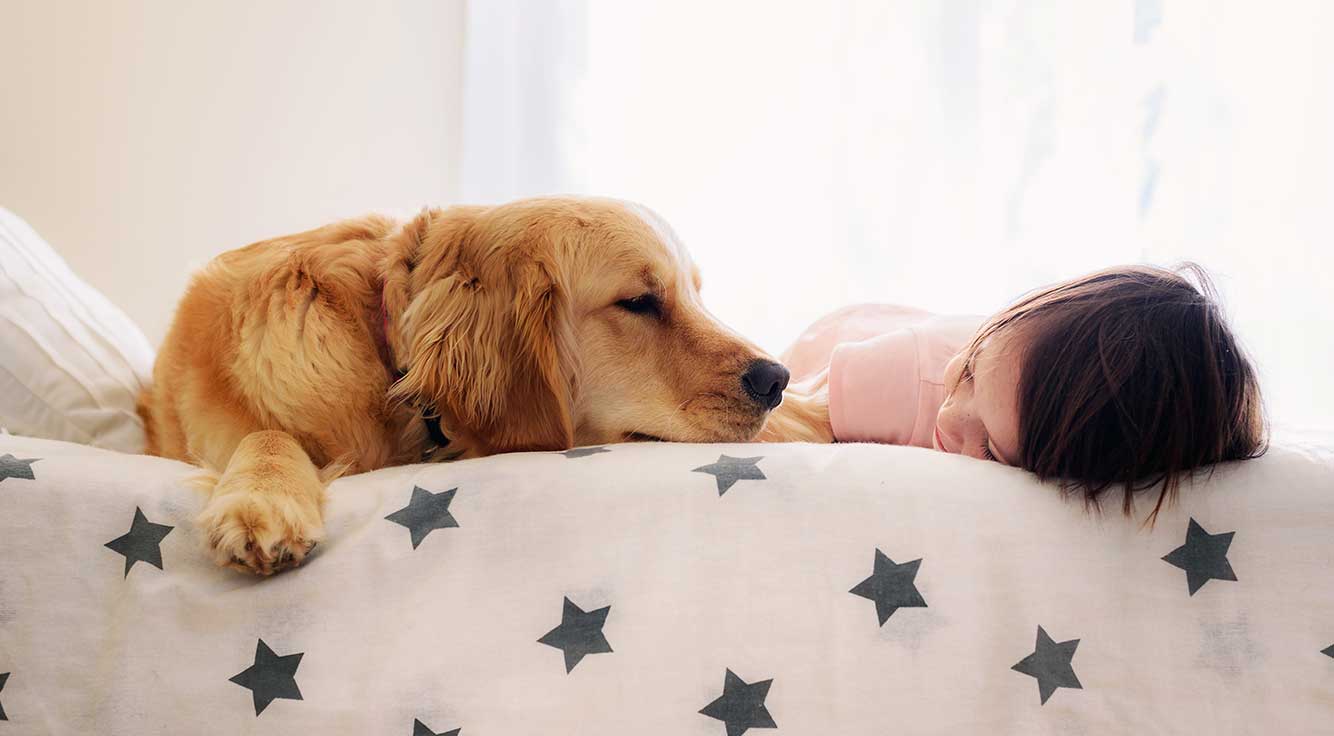 3 Ways Pets Can Improve Your Health