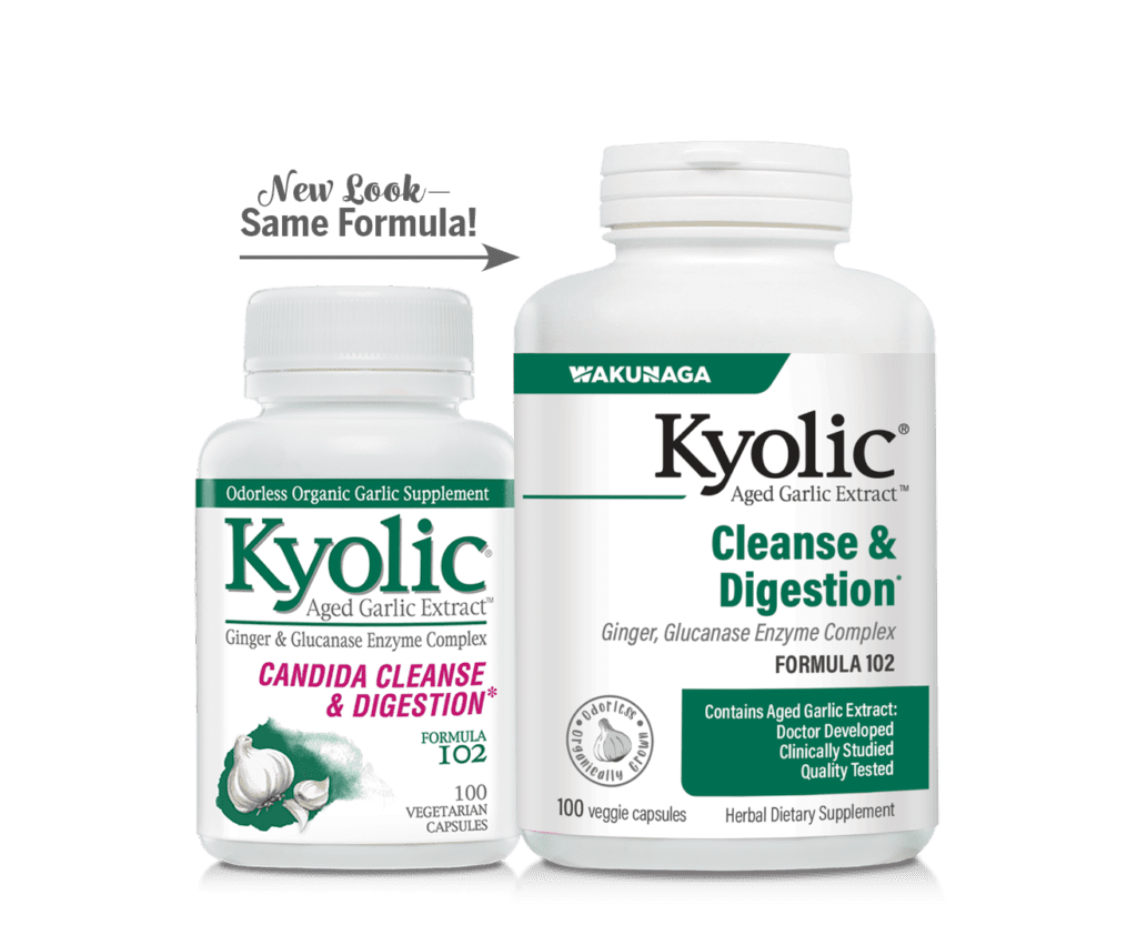 Kyolic Aged Garlic Extract Cleanse and Digestion