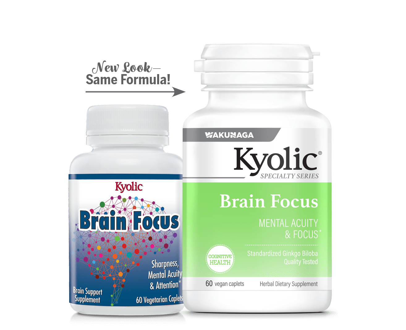 Brain Focus | Pure Ginkgo Biloba | Concentrated Extract