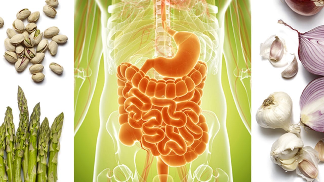 Green and orange intestine image