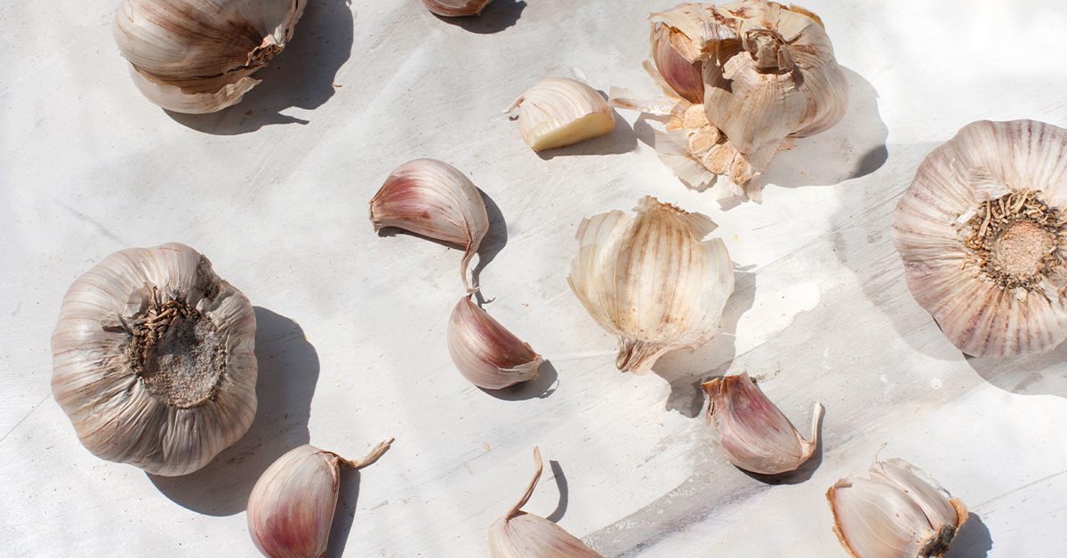 garlic cloves white background