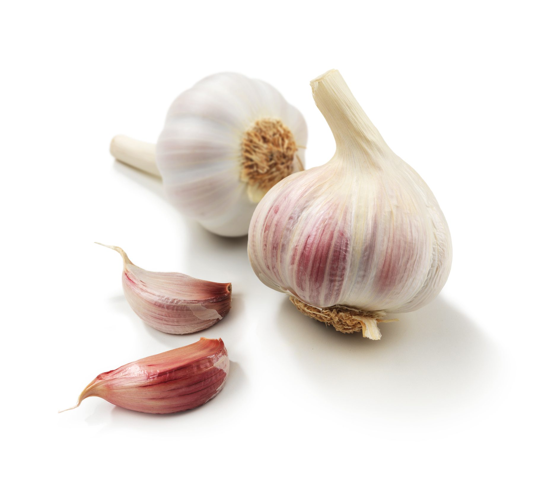 garlic cloves white background