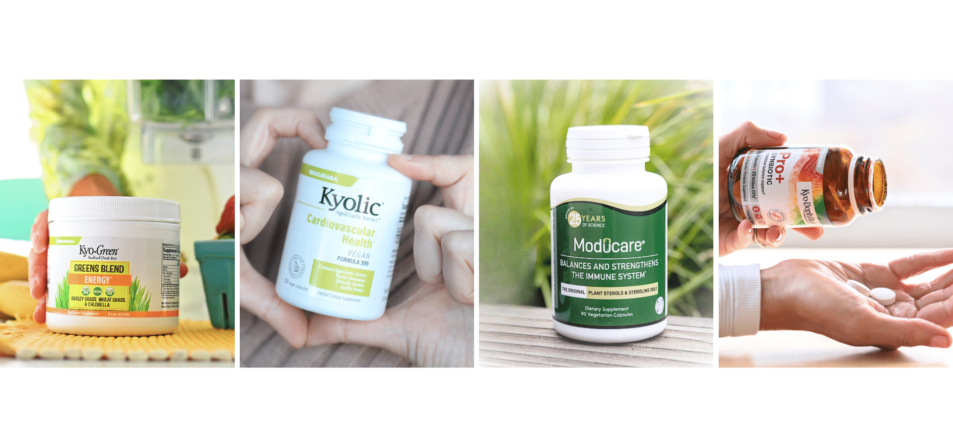 Banner image showing a product from each of the four brands: Kyo-Green, Kyolic, Moducare, and Kyo-Dophilus